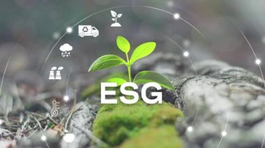 ESG Çevre Yönetimi Yatırım Yatırım Konsepti. ESG simgeleri. İş yatırım stratejisi konsepti. Dijital hologram. 4K video