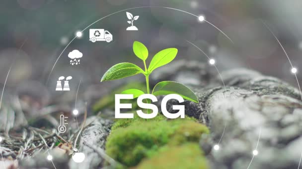 Esg环境社会治理投资商业概念 Esg图标 商业投资战略概念 数字全息图4K视频 — 图库视频影像