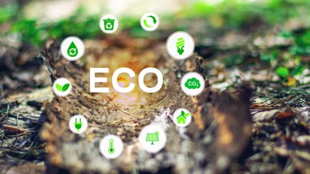 Ecologia Tecnologia Verde Conceito Tecnologia Verde Tecnologia Envinromental Concep Holograma — Vídeo de Stock