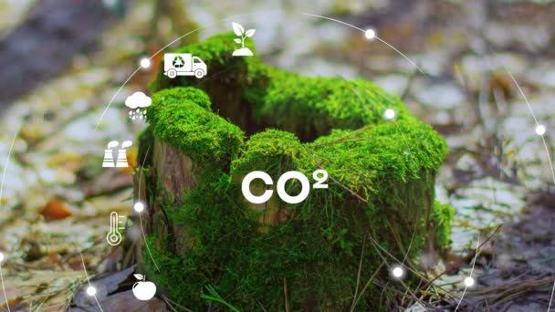 Reduzierung Der Co2 Emissionen Co2 Neutrales Konzept Netto Null Treibhausgasemissionen — Stockvideo