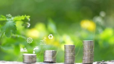 Sıfır ve karbon nötr kavram. CO2 azalıyor. Güneş Işığıyla Yeşil Orman 'da Net sıfır ikonlu Globe Glass. net sıfır sera gazı emisyonları yeşil zemin üzerinde tarafsız uzun vadeli iklim stratejisini hedeflemektedir