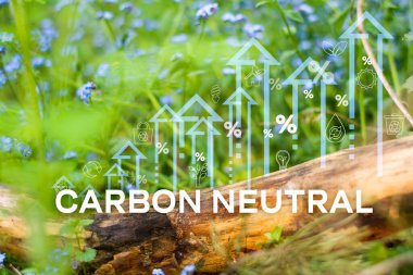 Karbon nötron ikonu karbon nötr ve net sıfır konsepti için ormanın üst görünümü doğal çevre, sera gazı emisyonları hedefleri