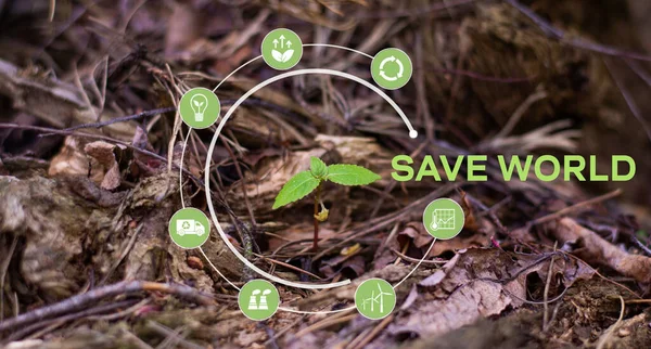Grüne Pflanze Mit Digitalen Symbolen Und Botschaft World Ökologiekonzept Umwelttechnologiekonzept — Stockfoto