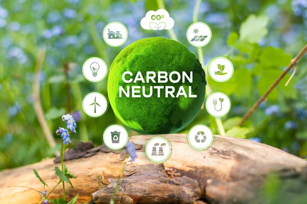 Carbon neutral on the top view of the forest for Carbon neutral and net zero concept natural environment Climate-neutral long-term strategy greenhouse gas emissions targets