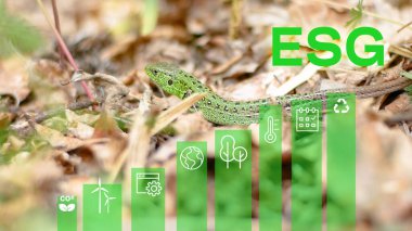 Çevresel sosyal ve yönetim. Enironmental tekoloji, yeşil teknoloji, yeşil Dünya CO2 kavramı küçülttü