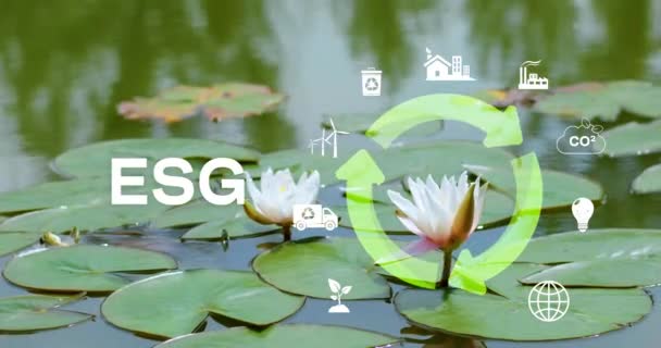 Esg Περιβαλλοντική Έννοια Της Επιχείρησης Επενδύσεων Κοινωνικής Διακυβέρνησης Lily Flowers — Αρχείο Βίντεο