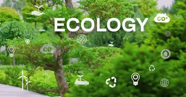 Groene Natuur Achtergrond Ecologie Concept Eco Co2 Vermindering Co2 Emmision — Stockvideo