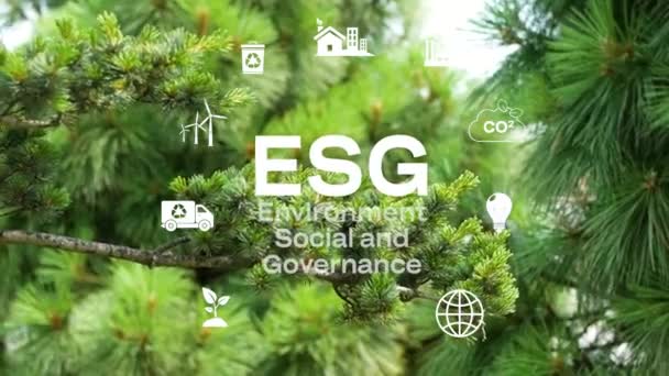 Esg環境社会ガバナンス投資事業の考え方 Esgアイコン 事業投資戦略の概念 デジタル ホログラム 企業4Kビデオ 緑の自然背景 — ストック動画