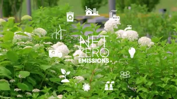 Emissioni Zero Nette Concetto Carbon Neutral Icone Zero Nette Nella — Video Stock