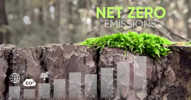 ネットゼロとカーボンニュートラルコンセプト 緑の森のネットゼロアイコン Co2削減する 純ゼロ温室効果ガス排出は 温室効果ガスのグリーンバックにおける気候中立的な長期戦略を目標としています 4Kビデオ — ストック動画