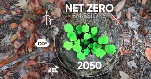 Nollutsläpp Netto Och Koldioxidneutralt Koncept Netto Noll Ikoner Green Forest — Stockvideo