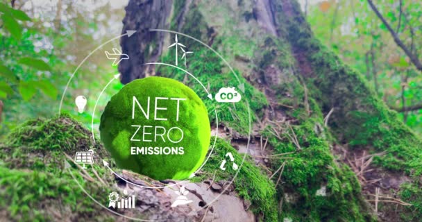 Čistá Nula Uhlíkově Neutrální Koncept Zelený Glóbus Nulovými Ikonami Zeleném — Stock video