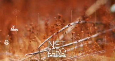 Ağ sıfır emisyon ve karbon nötr konsept. Net sıfır sera gazı emisyon hedefi. İklim tarafsız uzun vadeli stratejisi. Zehirli gaz yok. Karbon nötr karbondioksit 4k videoyu azalt.