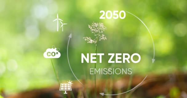 Concepto Neto Cero Neutro Carbono Objetivo Neto Cero Emisiones Gases — Vídeo de stock
