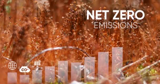 ゼロエミッションとカーボンニュートラルコンセプト ゼロの温室効果ガス排出目標 気候中立的な長期戦略 有毒ガスはない カーボンニュートラル 4Kビデオ — ストック動画