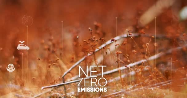 Čisté Nulové Emise Koncepce Uhlíkově Neutrální Cíl Čistých Nulových Emisí — Stock video