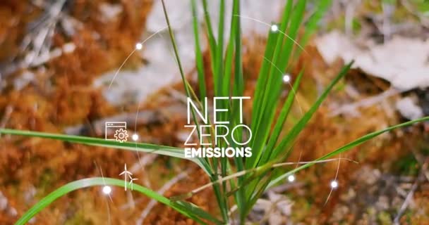 Concepto Neto Cero Neutro Carbono Objetivo Neto Cero Emisiones Gases — Vídeo de stock