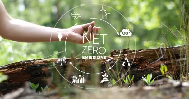 Netto Zero Neutralne Pod Względem Emisji Dwutlenku Węgla Koncepcje Netto — Wideo stockowe