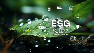  Çiy damlası ESG kavramlı taze yeşil yaprak