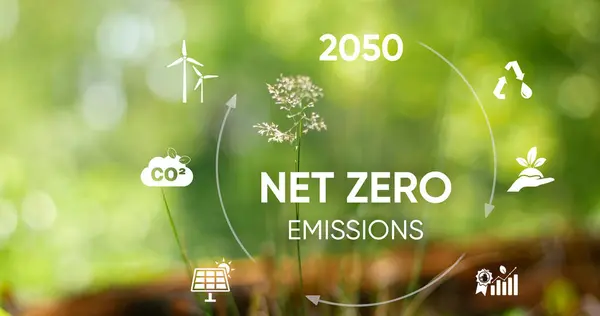Net zero and carbon neutral concept. Net zero greenhouse gas emissions target. Net zero icon. Climate neutral long term strategy on a green background