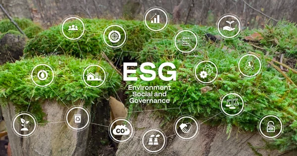İş ve organizasyon, Çevre, Sosyal, Yönetim ve sürdürülebilirlik geliştirme kavramı için ESG konsept simgesi.