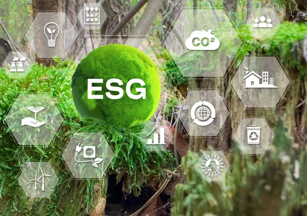ESG konsepti. Çevre, toplum ve yönetim. Yeşil arka planda ağ bağlantısı üzerine sürdürülebilir ve etik iş enerjisi.