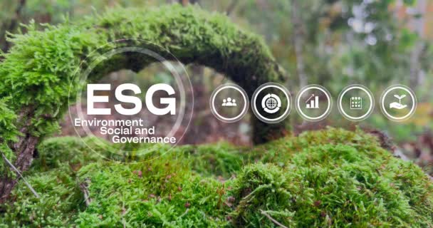 Esg Concept Van Milieu Sociale Governance Icons Esg Groene Achtergrond — Stockvideo