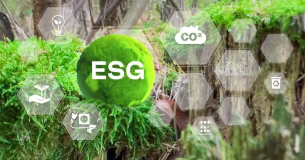 Инвестиционная Бизнес Концепция Экологического Социального Управления Иконки Esg Концепция Инвестиционной — стоковое видео
