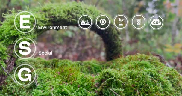 Esg图标概念 社会和治理 天然气能源可持续发展与伦理企业在绿色背景下的网络连接 4K视频 — 图库视频影像