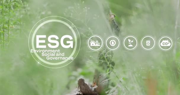 Esg環境社会ガバナンス投資ビジネスコンセプト Esgインフォグラフィック ビジネス投資戦略コンセプト デジタルホログラム 自然背景 ビデオ — ストック動画