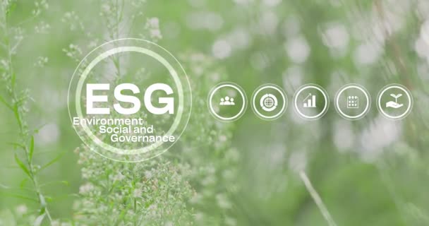 Esg環境社会ガバナンス投資ビジネスコンセプト Esgインフォグラフィック ビジネス投資戦略コンセプト 緑の自然の背景 ビデオ — ストック動画