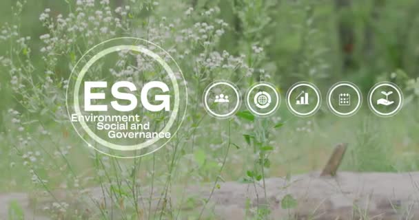 Esg Çevre Yönetimi Yatırım Yatırım Konsepti Esg Simgeleri Yatırım Stratejisi — Stok video