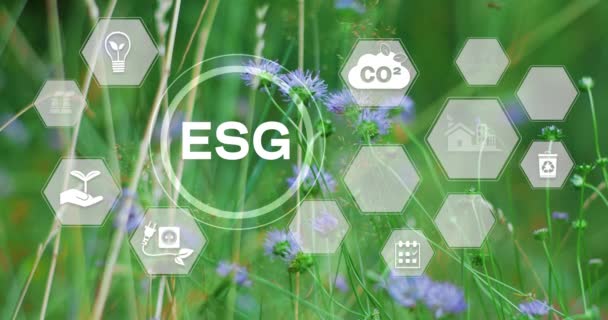 Esg環境社会ガバナンス投資事業コンセプト Esgインフォグラフィックを閉鎖 ビジネス投資戦略コンセプト デジタルホログラム 自然背景 ビデオ — ストック動画