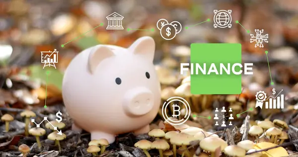 Piggy Bank Com Finanças Negócios Infográficos Conceito Poupança Financeira Poupar — Fotografia de Stock