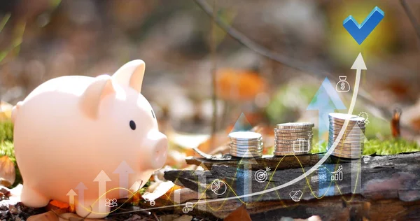 Sparschwein Auf Naturhintergrund Konzept Der Ersparnisse Und Investitionen Sparen Sie — Stockfoto
