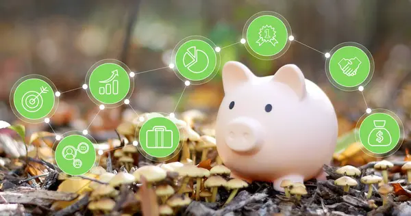 Piggy Bank Met Financiën Zakelijke Infographic Concept Van Het Sparen — Stockfoto