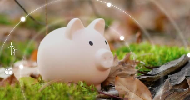Sparschwein Großaufnahme Vor Dem Hintergrund Der Natur Konzept Der Ersparnisse — Stockvideo