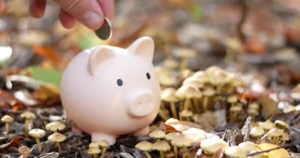 Mano Poner Monedas Alcancía Fondo Naturaleza Ahorro Dinero Para Futuro — Vídeos de Stock