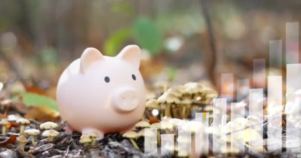 Banco Porquinho Fundo Natureza Com Infográfico Poupar Dinheiro Para Futuro — Vídeo de Stock