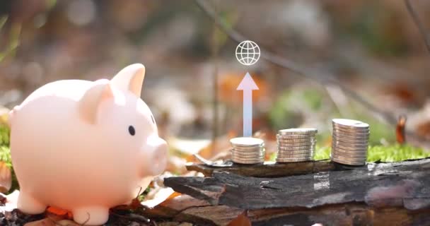 Свинячий Банк Фоні Природи Концепція Заощаджень Інвестицій Економія Грошей Майбутнього — стокове відео