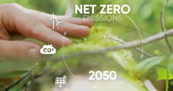 ネットゼロ カーボンニュートラルコンセプト ゼロの温室効果ガス排出目標 緑の円の落書きの背景に純ゼロアイコンと緑のアイコンを備えた気候中立的な長期戦略 — ストック動画