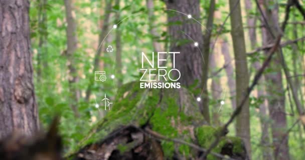 Síť Nula Uhlíkově Neutrální Koncept Cíl Čistých Nulových Emisí Skleníkových — Stock video