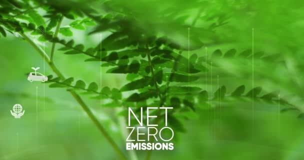 Čistá Nula Uhlíkově Neutrální Koncept Cíl Čistých Nulových Emisí Skleníkových — Stock video