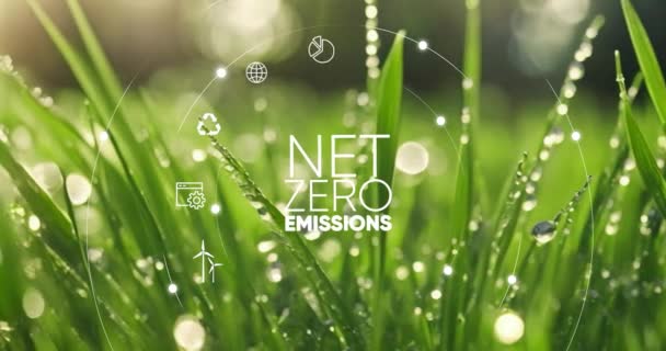 Síť Nula Uhlíkově Neutrální Koncept Cíl Čistých Nulových Emisí Skleníkových — Stock video