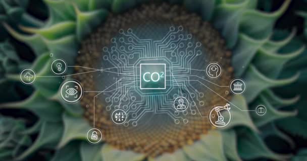 Углеродно Нейтральная Концепция Уменьшает Выбросы Co2 Снижая Глобальное Потепление Цель — стоковое видео