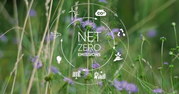 ネットゼロとカーボンニュートラルコンセプト ゼロの温室効果ガス排出目標 気候中立的な長期戦略 緑の自然ボケの背景 4Kビデオ — ストック動画