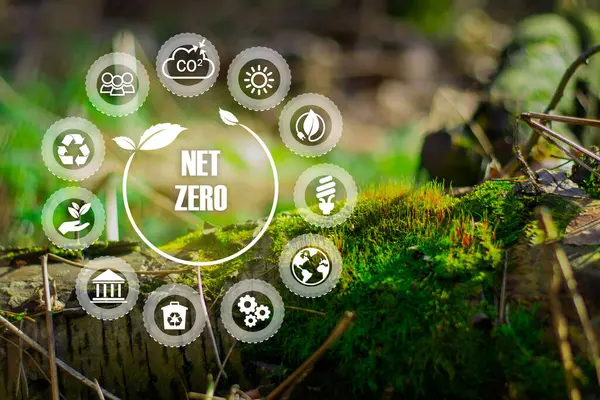 Net zero , carbon neutral concept. Net zero greenhouse gas emissions target. Climate neutral long term strategy with net zero icon on circles doodle background. 2050 long term startegy.CO2 reduce strategy