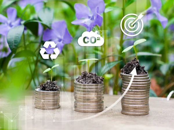  Eldeki CO2 emisyon konseptini azalt, küresel ısınma, yeşil bitkilerle dolu para yığınları. Yenilenebilir enerjiye dayalı sürdürülebilir kalkınma ve yeşil iş. CO2 azalması. 2050 uzun vadeli strateji.