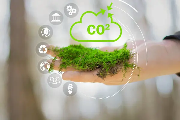 Ridurre Concetto Emissioni Co2 Mano Ambiente Riscaldamento Globale Sviluppo Sostenibile Immagine Stock