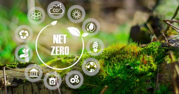 Emissioni Zero Nette Concetto Carbon Neutral Obiettivo Netto Zero Emissioni — Video Stock